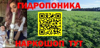 СК Ярославль