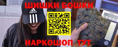 СК Ярославль
