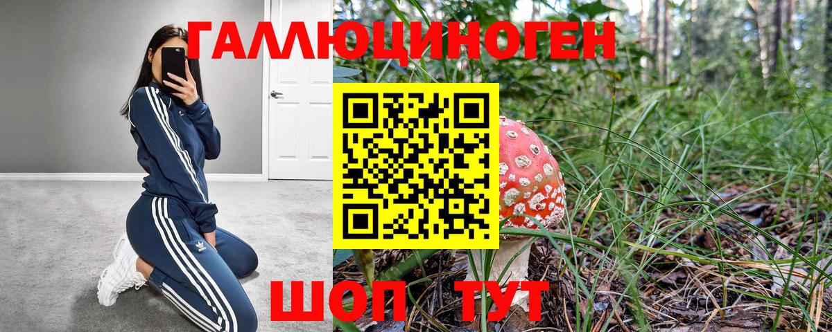 Галлюциногенные грибы MAGIC MUSHROOMS  Псилоцибиновые грибы ЛСД  Вход с VPN  Чебаркуль 